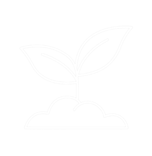 Plant Based Icon